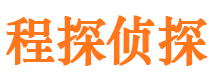 东西湖市私家侦探公司